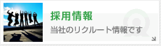 採用情報